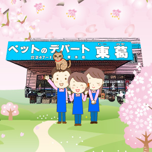 子猫のページへ