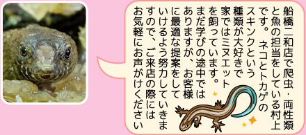 東葛ペット船橋二和店のスタッフ｜村上のご紹介