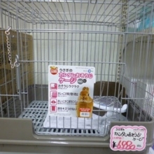 １月２５日　小動物ケージ特売！