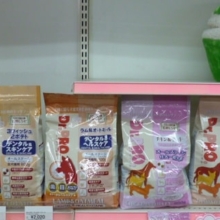 ニチドウさん　ドッグフードサンプリング＆ワンちゃんの歯磨き講座