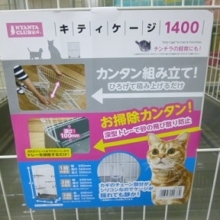 特売　キティケージ１４００