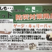 ペットの防災対策用品キャリーバッグ編