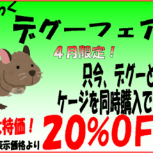 デグーフェア♪