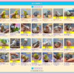 一覧が見やすくなりました！