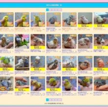 一覧が見やすくなりました！