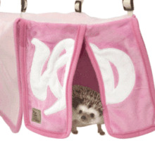 新商品　小動物用カクレガ　～のれんハウス～