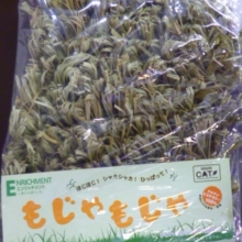 もじゃもじゃ　アジアンビタチモシー１００％