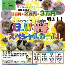 ゴールデンウィーク　スペシャルセール！