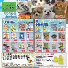 ７月２０日～７月２８日までドキドキ　サマーセール開催！