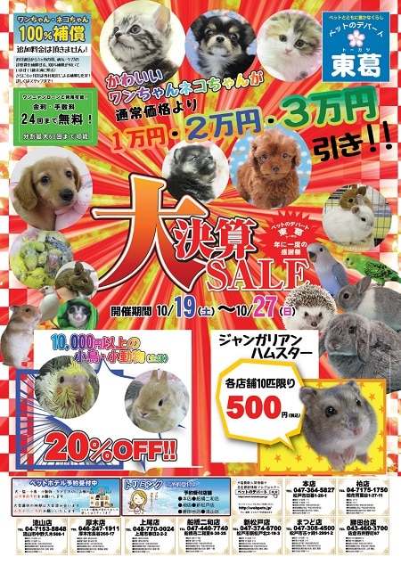 ２０１９年１０月１９日～１０月２７日まで大決算セール！