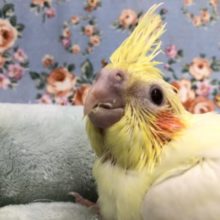 今週も来ましたよ！　１０／6撮影