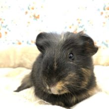 チャームポイントは頭のつむじです！　R4　１／２８撮影