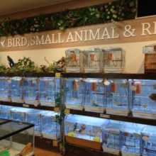 新店舗　小山店　オープンいたしました！