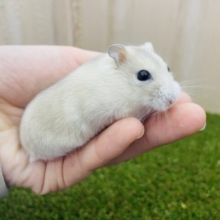 最新画像になりますよ‼️ わちゃわちゃしようよ！　イエロープティング　女の子