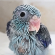 7月と言えば青い海🏖 特別企画開催中～💙