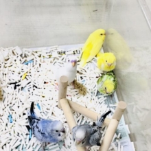 あ～夏休み～　お世話に時間をかけられる季節ですね　