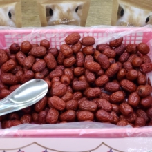 サマーフェスタ？ナツメすくいやってるよ～