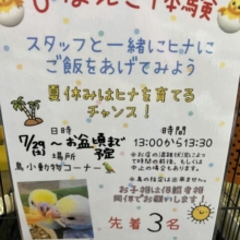 ひなえさ体験開催中！期間延長中！