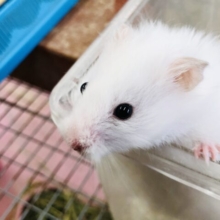 この先に行けば！！　自由なんだ～～～