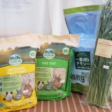 今月も開催！ 牧草をいっぱい食べよう～🌿 草食動物フェアー🎉