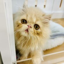 超ホヤホヤ最新画像✨沼が深すぎるって……エキゾチックくん！