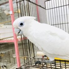 年末年始フェア～☀️❄️【流山店限定！！】