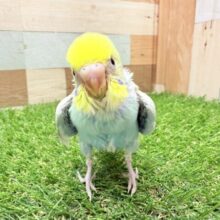 最新画像あります☺️キラキラオーラ放つ✨パステルカラーレインボー🌈