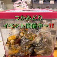 ✨GWイベント✨鳥・小動物のおやつのつかみどり開催中〜‼️