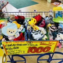 超破格🐶⁉️わんちゃん用お洋服詰め放題‼︎‼︎