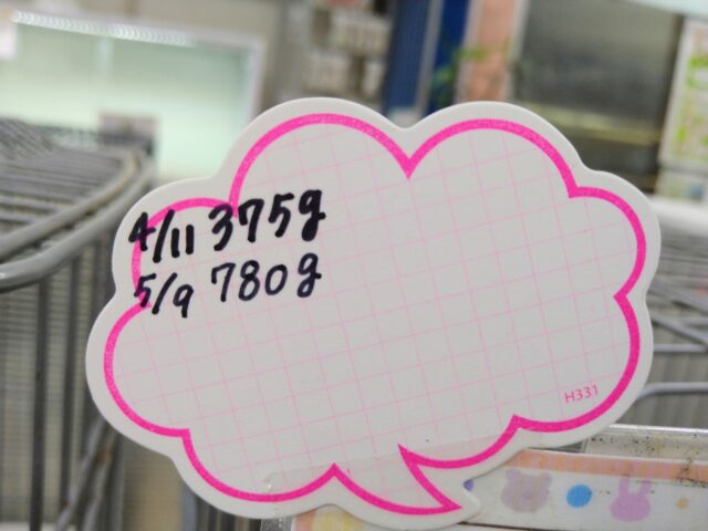 ミニウサギ