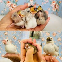 薫る風🌿☀️プレゼントフェア開催中♬*