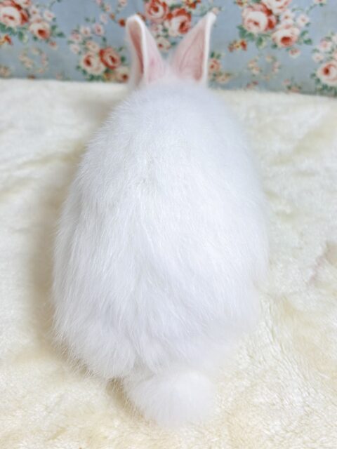 ドワーフラビット