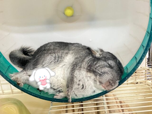 説明画像です