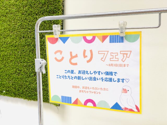 説明画像です