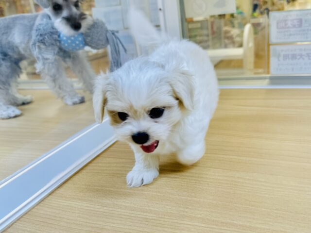 愛称が不明