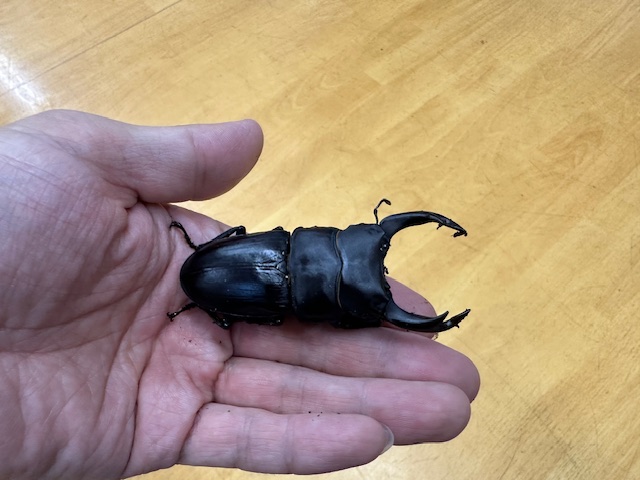 説明画像です