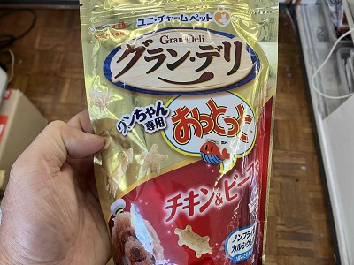 チワワ