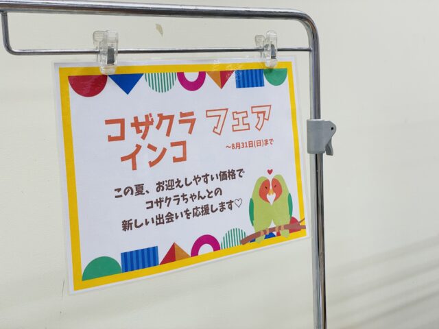 説明画像です