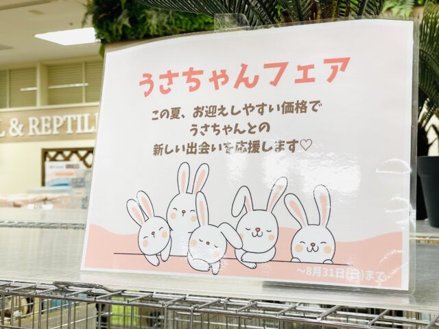 説明画像です