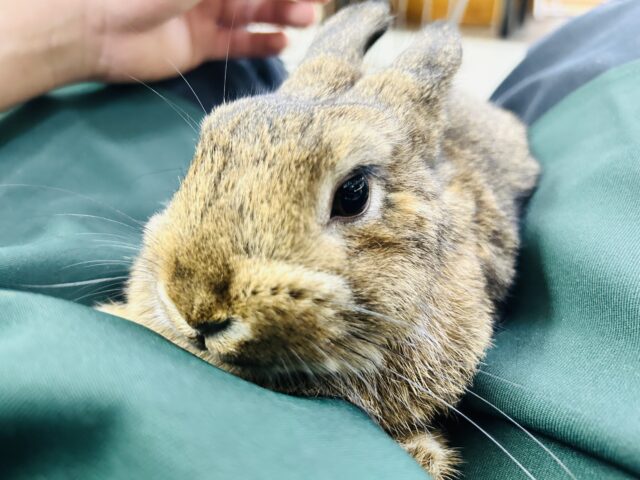 ～ラストサマーフェア～開催しちゃいます！！