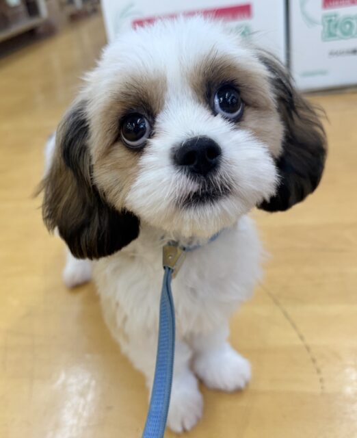 愛称が不明