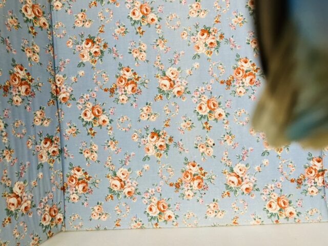 癒し溢れるとってもかわいいコ🩵💐手乗りコザクラインコちゃん(ブルーオパーリン)🪽🫧 コザクラインコ(小桜インコ)