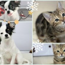 ❄️⛄️一緒に暖まりませんか？ウィンターフェア開催中🧣❄️