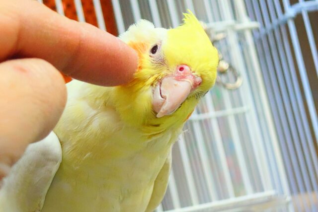 🆙最新画像アリ‼️】ぐりグリｸﾞﾘぐりーーが、とまらないんですっ