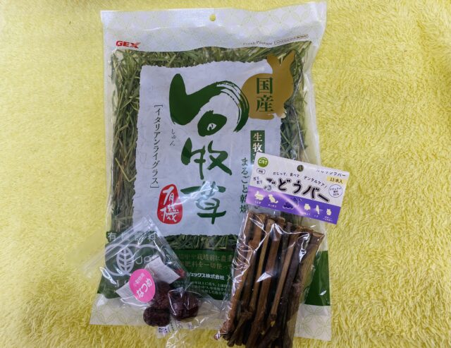 みんなで一緒にプィプィプィ~🫶💕︎︎モルモットfair開催中ですよ‼️ モルモット