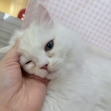 最新📷きゅんきゅんさせちゃう！ラガマフィンくん