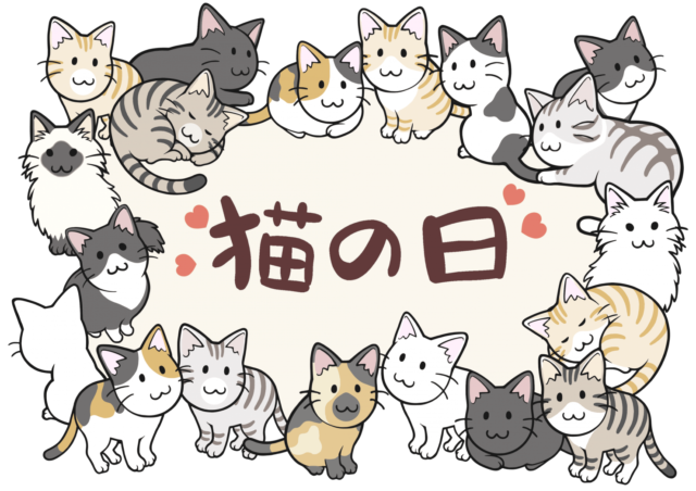 嬉しい告知🔈にゃんにゃんにゃんフェア開催決定〜🐾✨