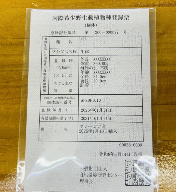 ヨウム