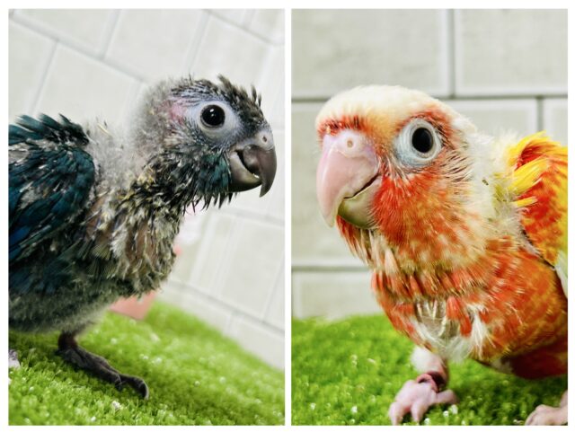 新生活応援フェア開催します！！