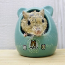 ｶｷｶｷできますっ🙋‍♀️💕まるまる成長中のジャイアントジャービル🌟